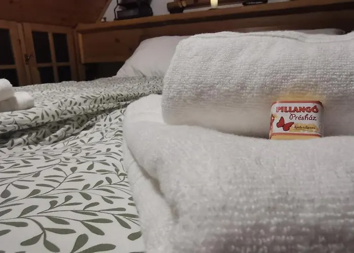 Pillangó Présház Сasa de vacaciones *