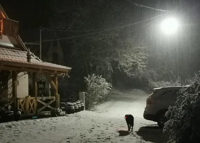 Semesterbostad Pillango Preshaz